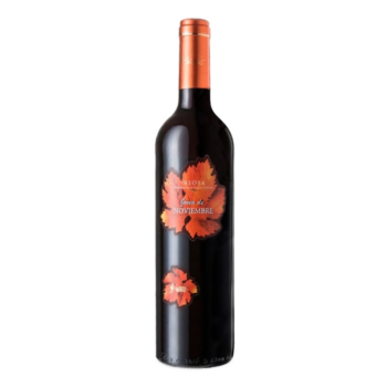 Joven de Noviembre 2025